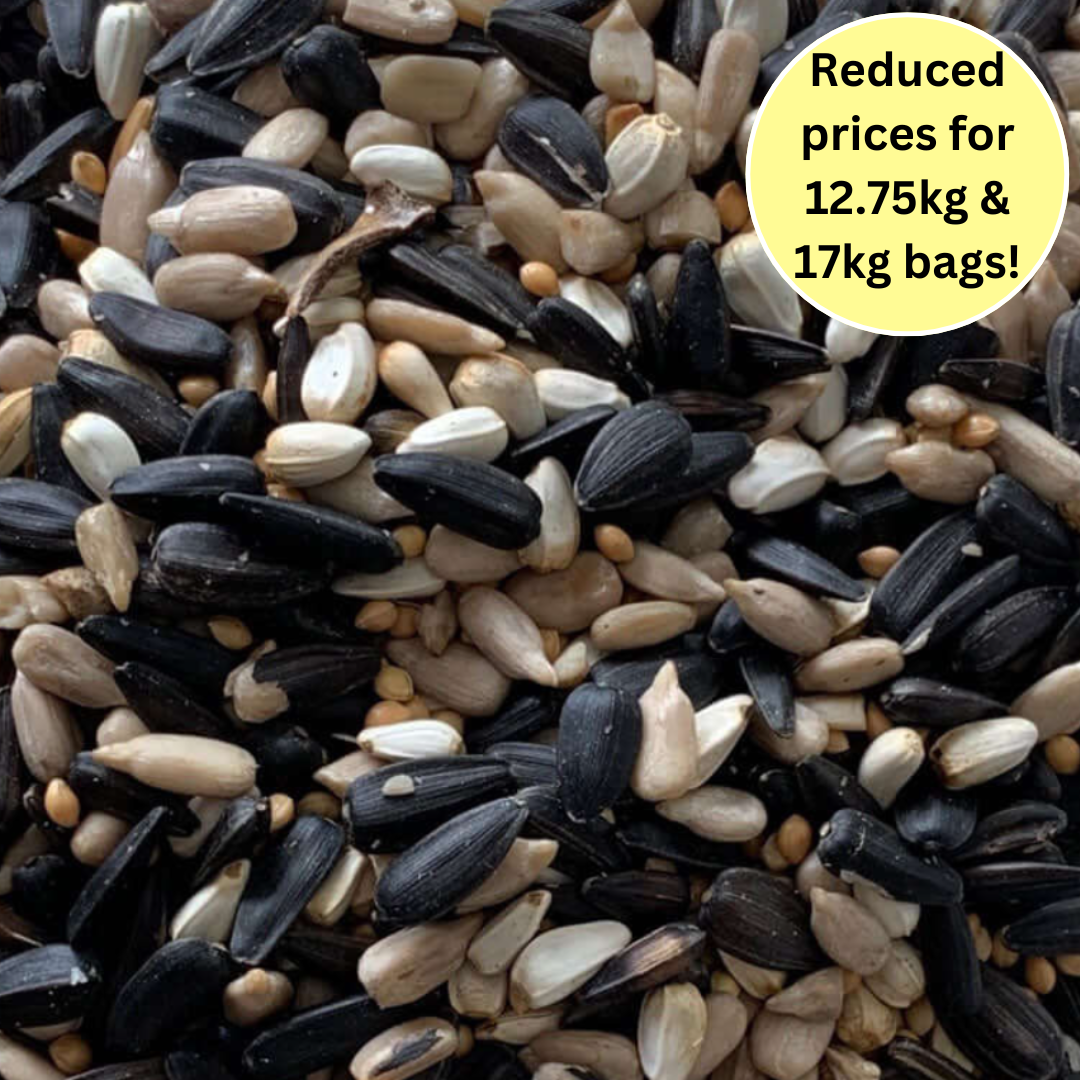 High-Energy Bird Feeder Seed Blend