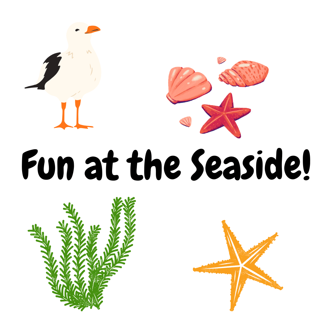 Seaside scene with shells and seagull graphic.