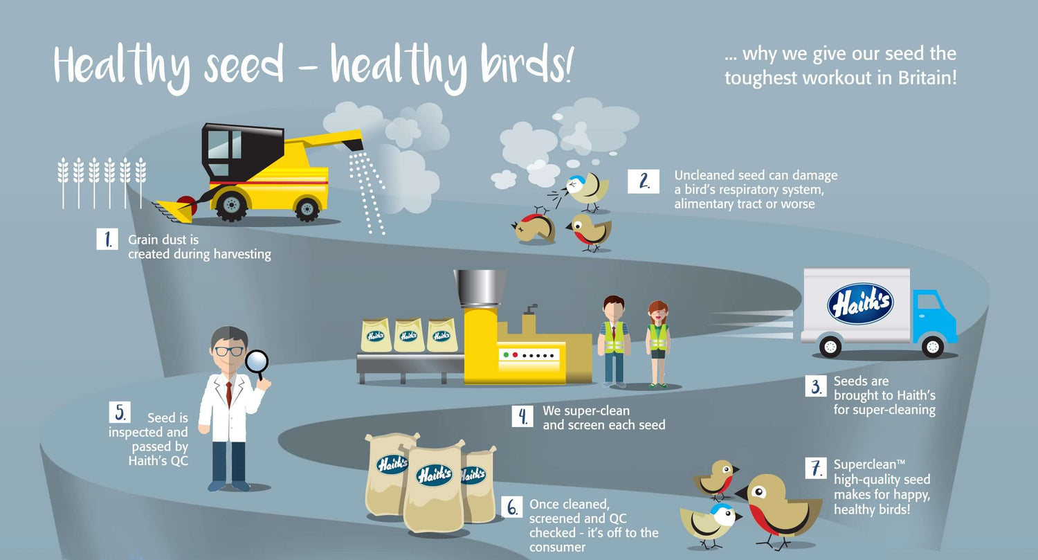 An inforgraphic showing the superclean bird food cleaning regime at Haith's bird food and why healthy bird diets are essential for healthy birds and garden wildlife.