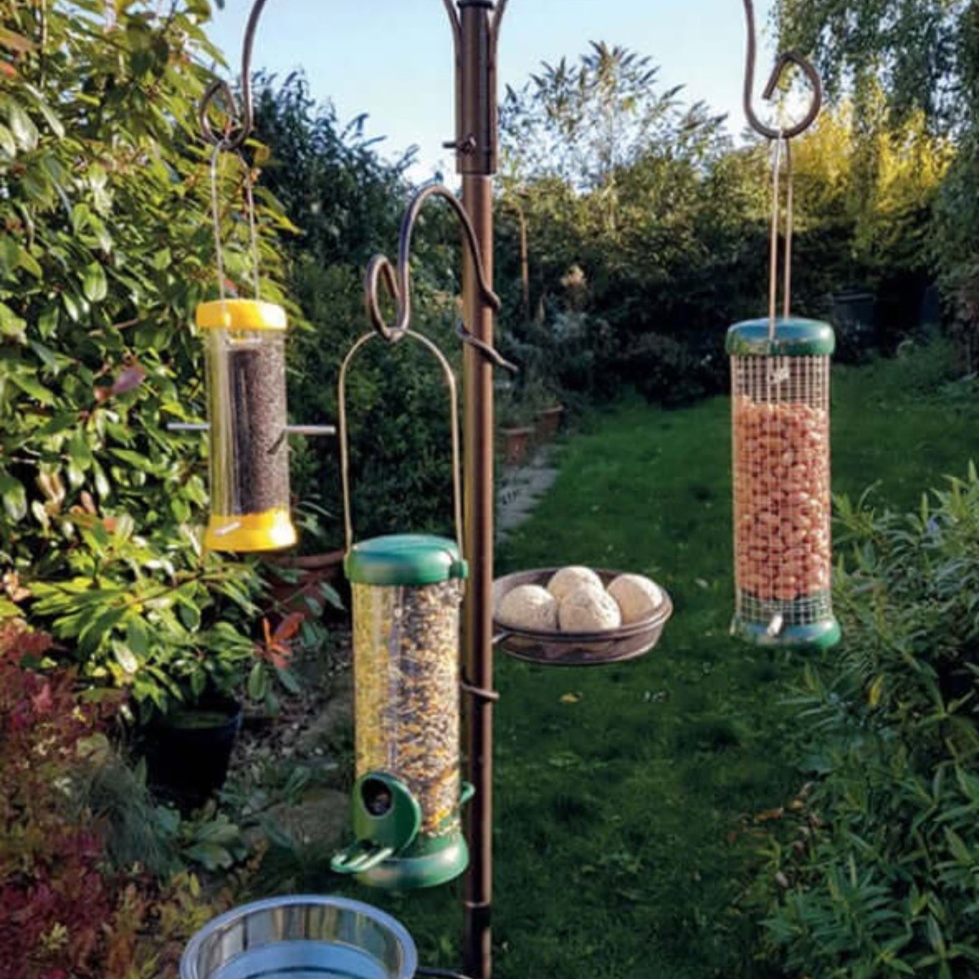 Full bird feeding station with feeders, a water bowl and fat ball holder. 