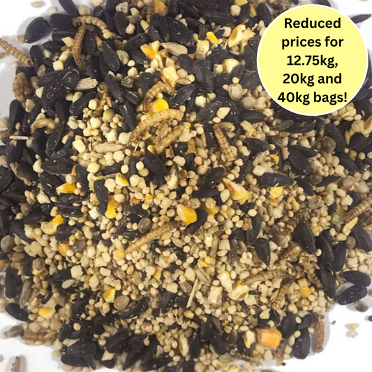 High-Energy Wild Bird Blend with Mealworms