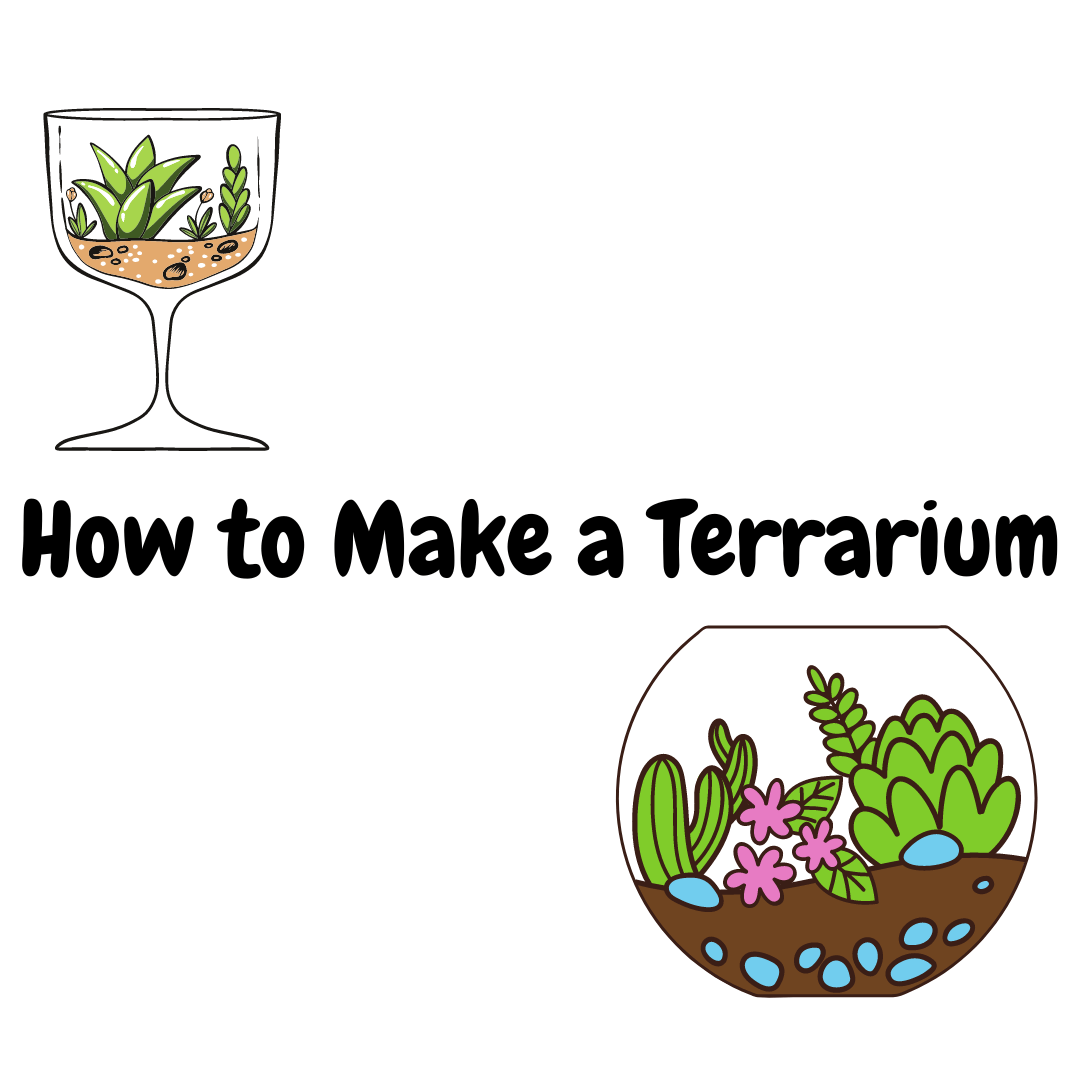 Two terrarium graphics.
