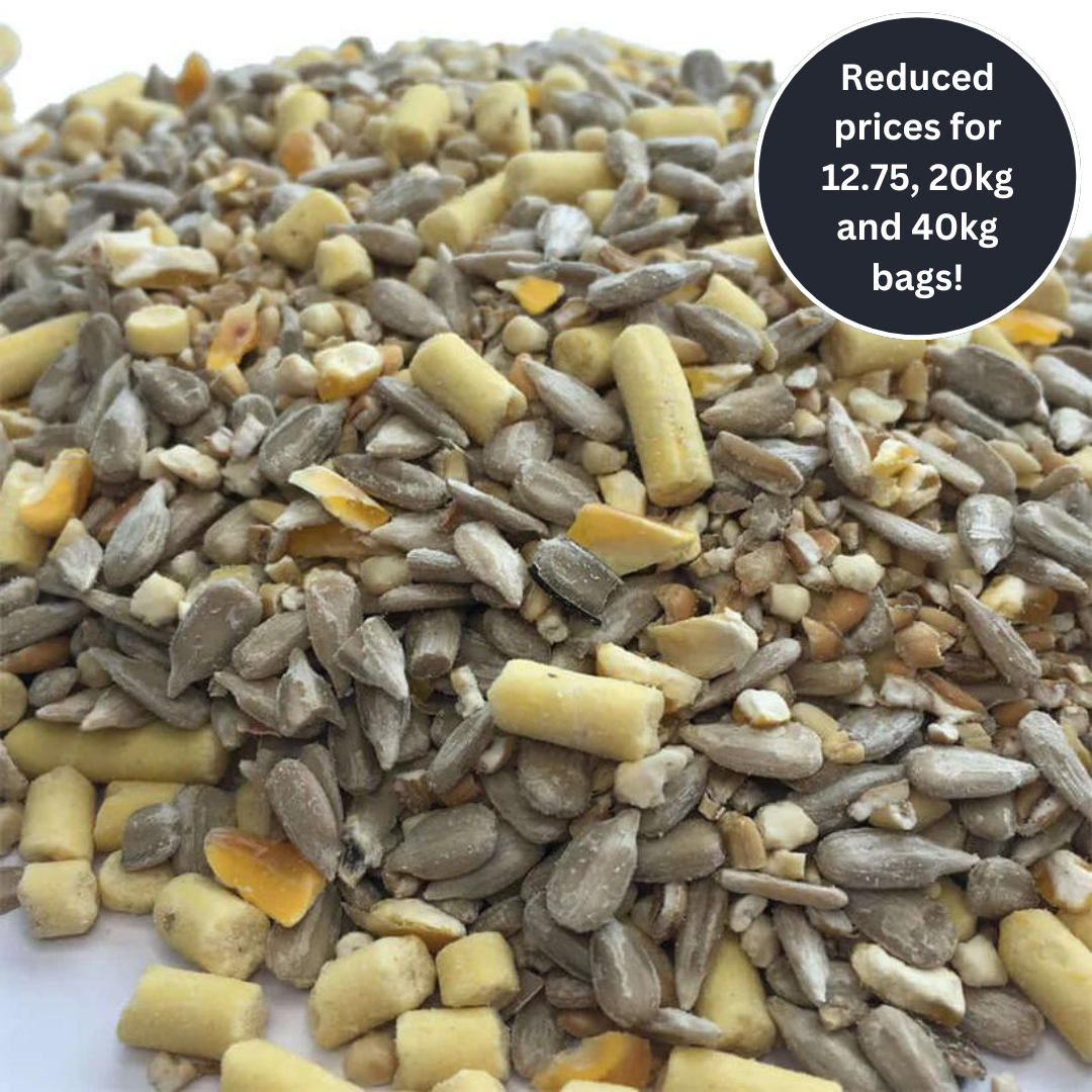 Lowe prices on no mess bird food with sunflower hearts and suet pellets for garden wildlife. 