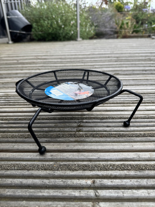 Black ground feeder on a wooden deck with a blurred garden background