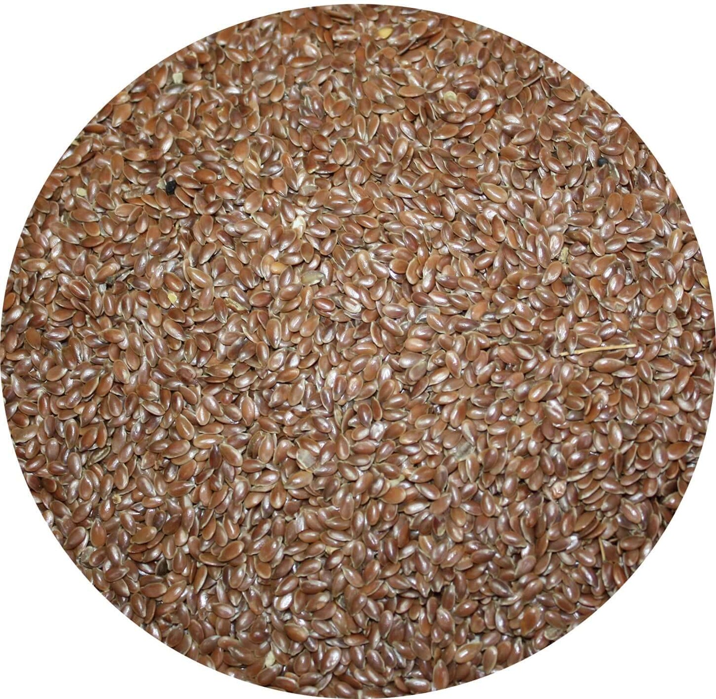 Linseed for fishing has an irresistible scent  that will capture the carps attention. 