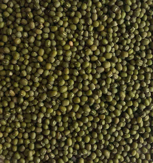 Mung Beans for budgies