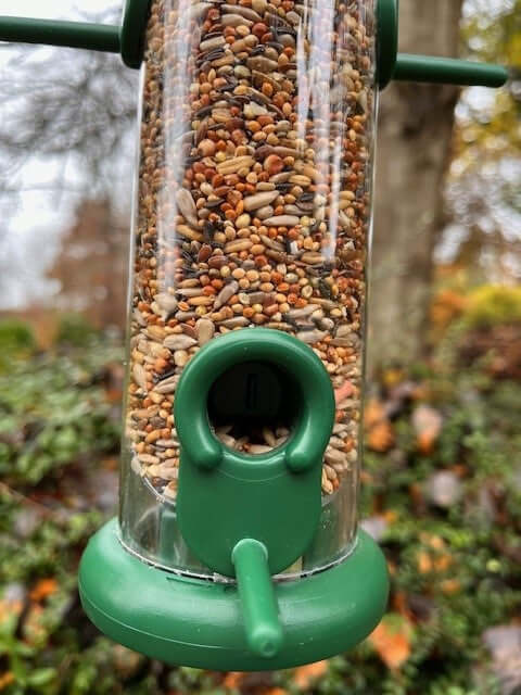 Medley Mix in plastic bird food feeder