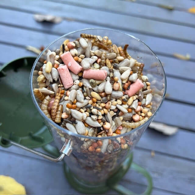 Medley is a quality bird food mix containing 14 different bird seeds and foods for garden birds. Shown here in a high quality bird feeder for nature lovers. 