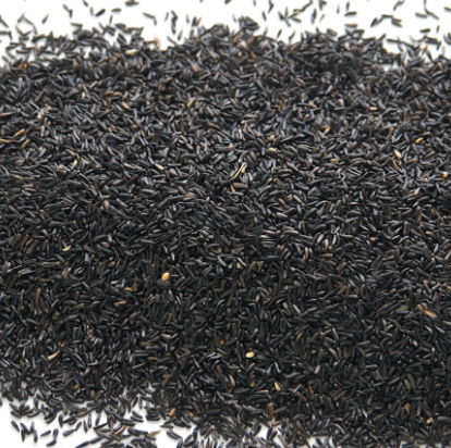 Haith's quality niger seed spread out on a white background 