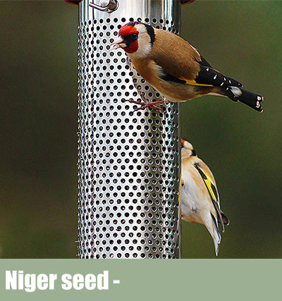 Birds feeding off of a niger seed feeder 