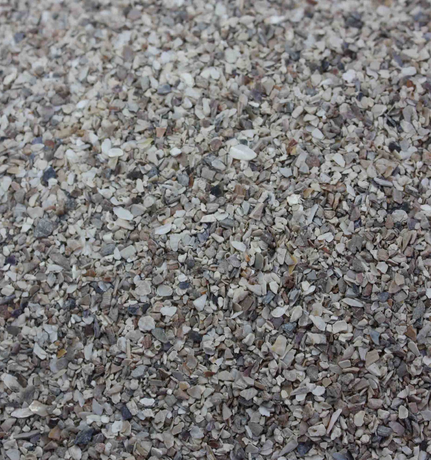 Fine Oystershell Grit is finely formulated to ensure gradual solubility. It is an ideal grinding agent in the gizzard