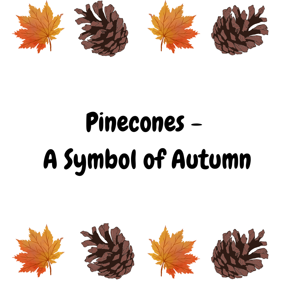 Pine cones and Autumn leaves graphic.