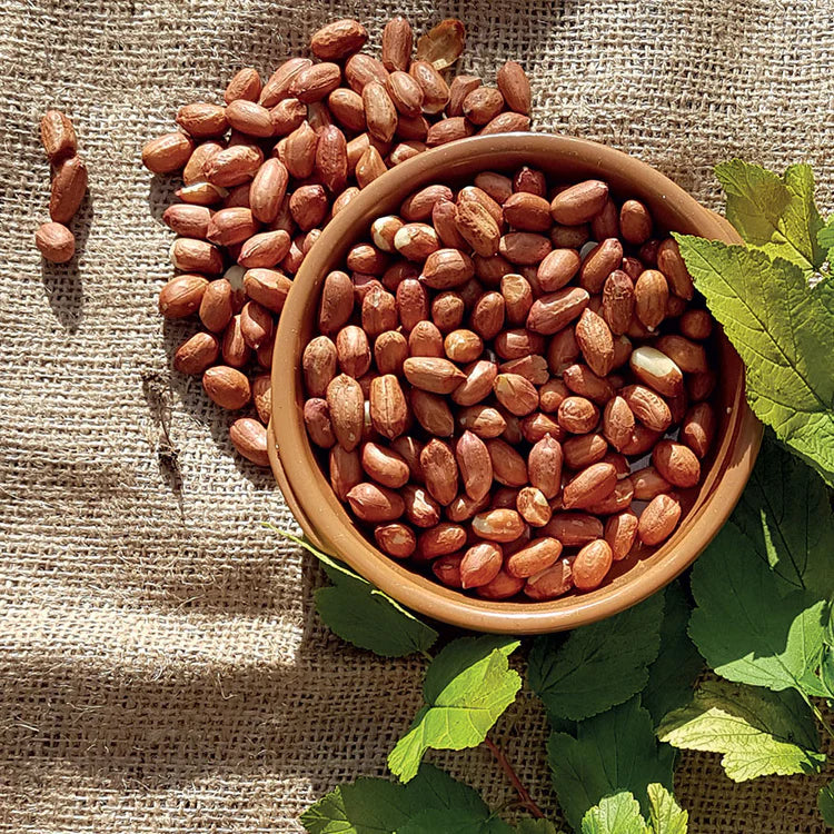 Peanuts for wild birds