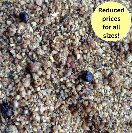 Prosecto™ Insectivorous Bird Food