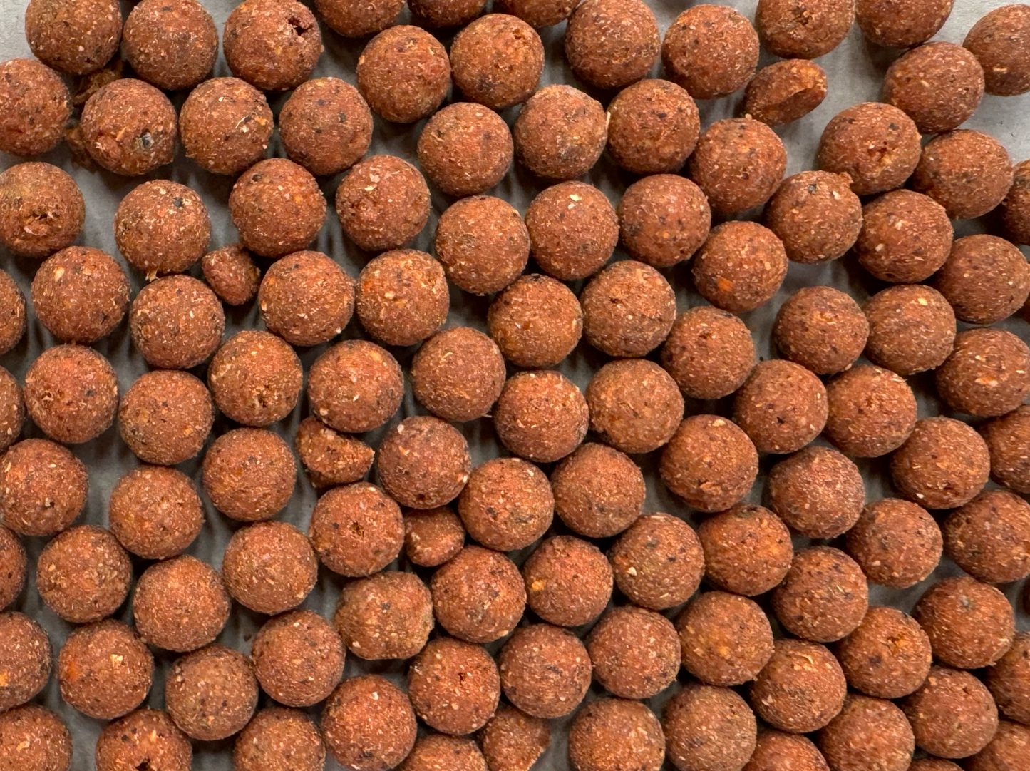 Robin Red Prototype boilies for fishing