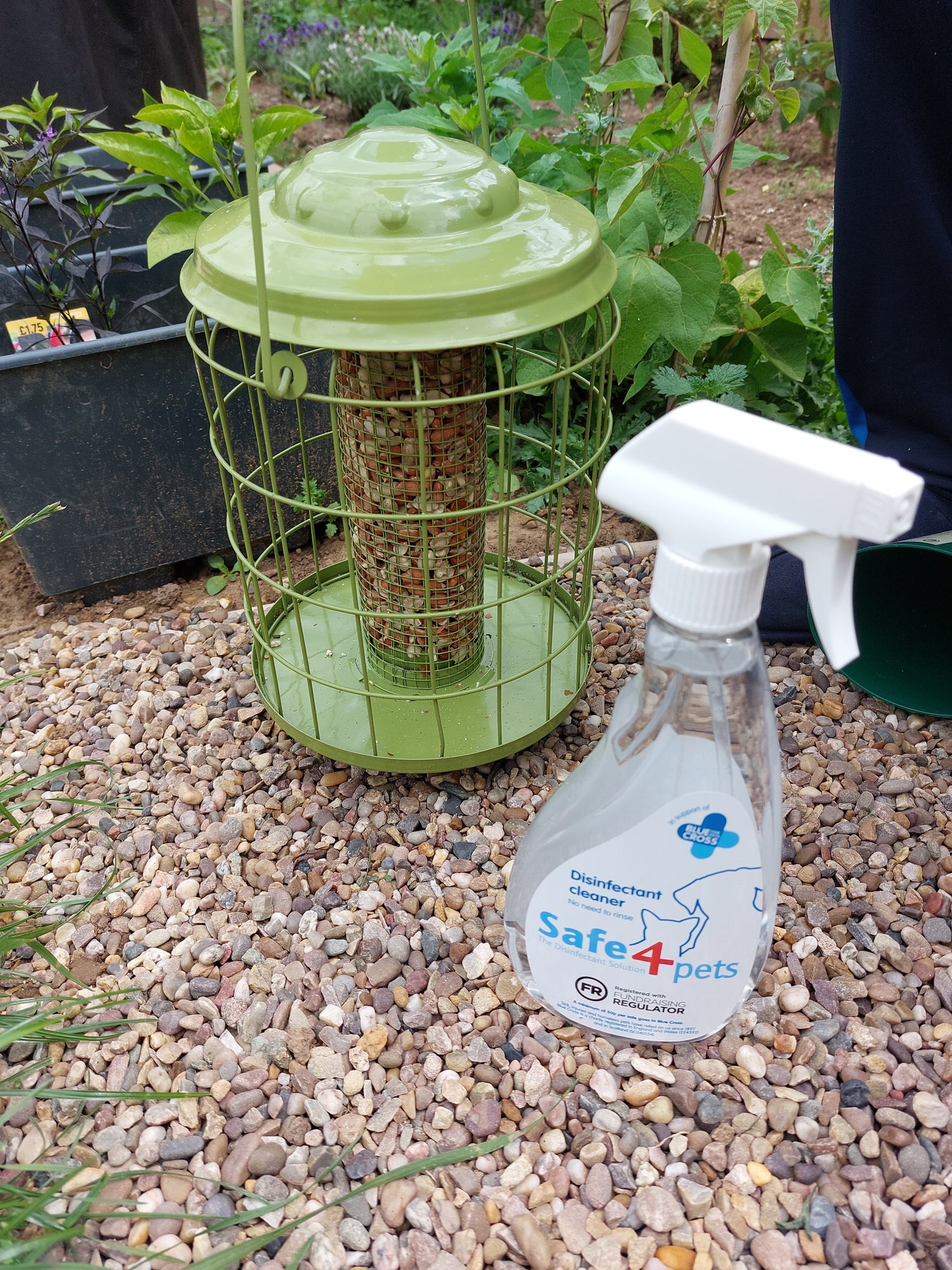 cleaning bird feeder