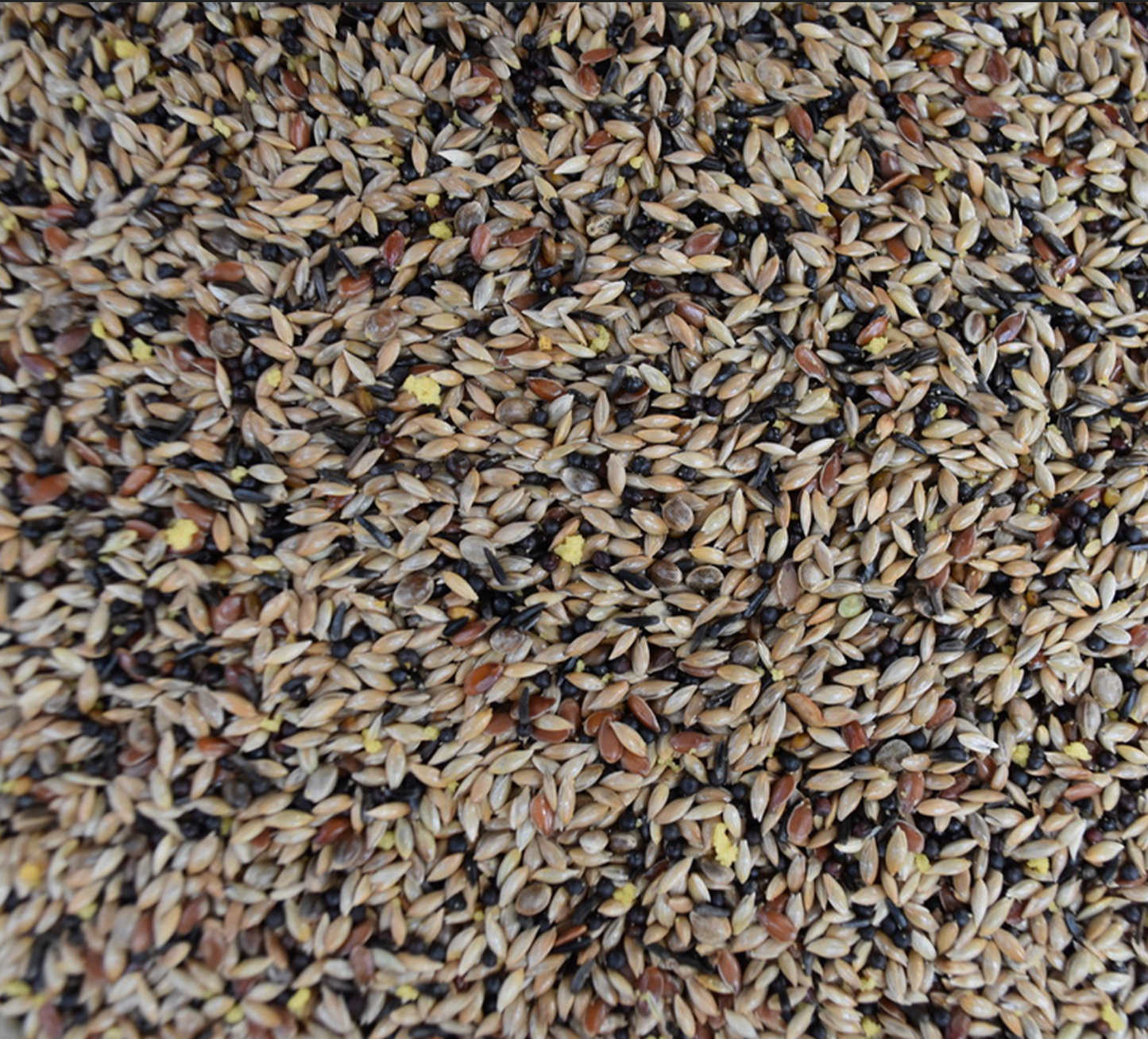 Super Canary Seed™