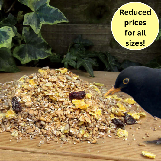 Songster's Premium Bird Seed & Feed Mix