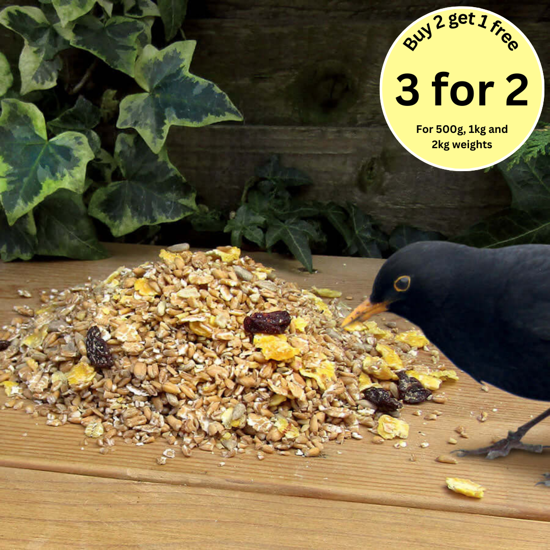 Songster wild bird food for garden birds | Haith's