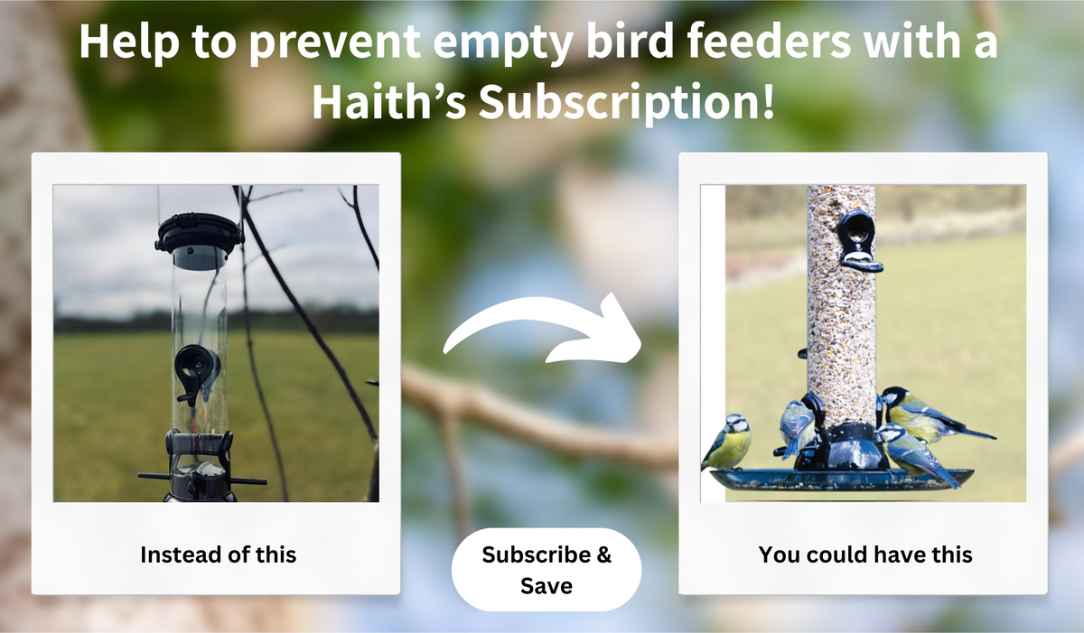 Illustration showing bird food moving from an empty feeder to a full feeder
