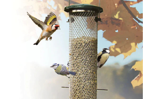 Birds eating off of a feeder of Haith's bird food 