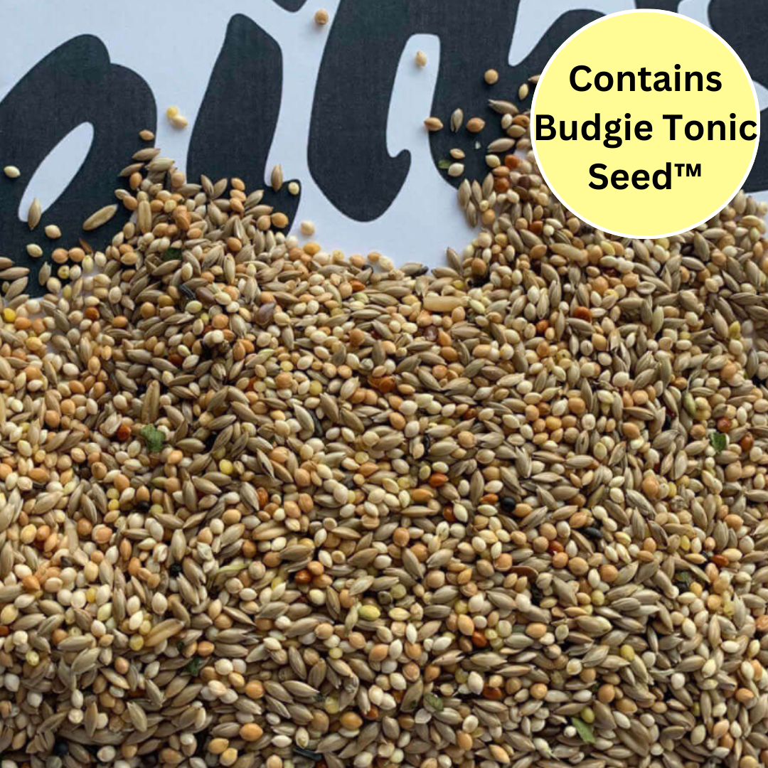 View of Tip Top Budgie Seed direct from Haith's bird seed