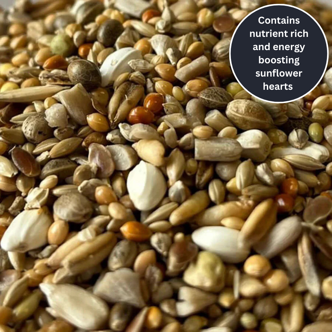 Different sized seeds making up Haith's UKBC Genesis Budgie Mix. 