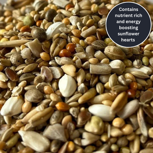 Different sized seeds making up Haith's UKBC Genesis Budgie Mix. 