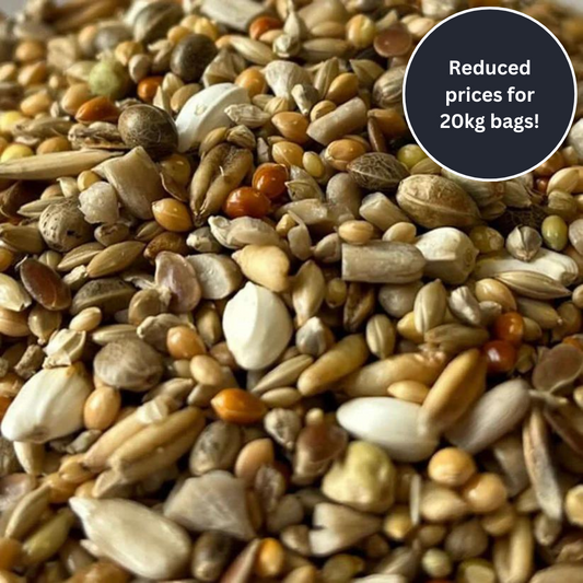 Buy the UKBC Genesis Budgie Seed mix direct from Haith's for UK Budgerigar Society Members and budgie pet keepers. 