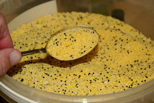 hand holding a spoon with yellow biscuit mix on it