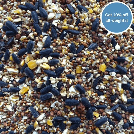 Autumn & Winter Bird Seed Mix - Haith's