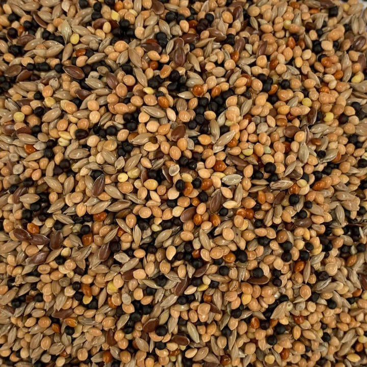 Budgie Seed & Feed | Food for Budgerigars – Haith's UK - Budgie Seed And Pellet Mix Benefits