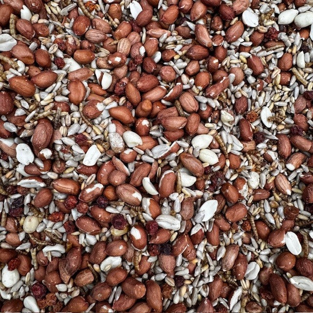 Close-up of a mix of seeds and grains in various colours.