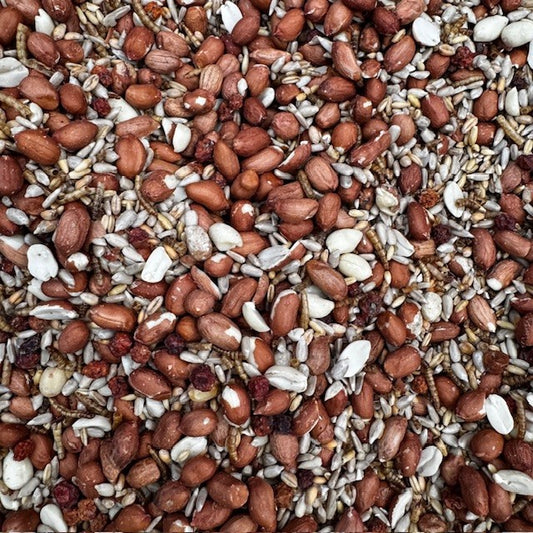 Close-up of a mix of seeds and grains in various colours.