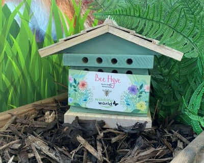 An attractive green Beehive House with a wooden roof and entrance holes across the front. 