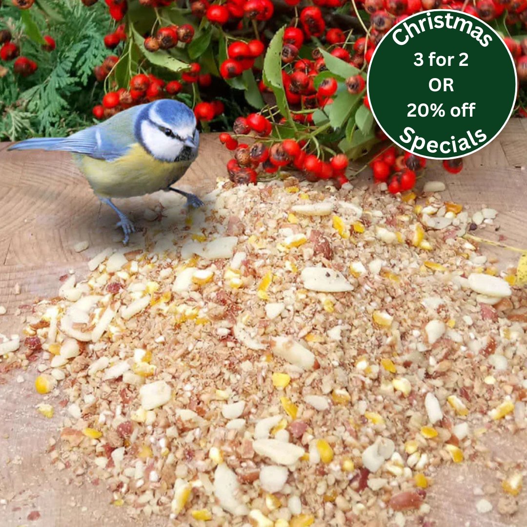 Beggar's Banquet™ - Soft Bird Food - Haith's