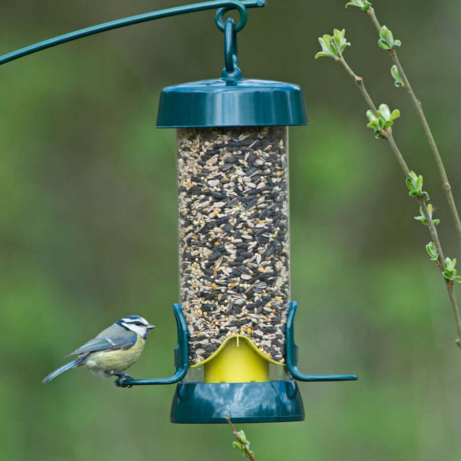 Big Easy™ Metal Bird Seed Feeder - Haith's