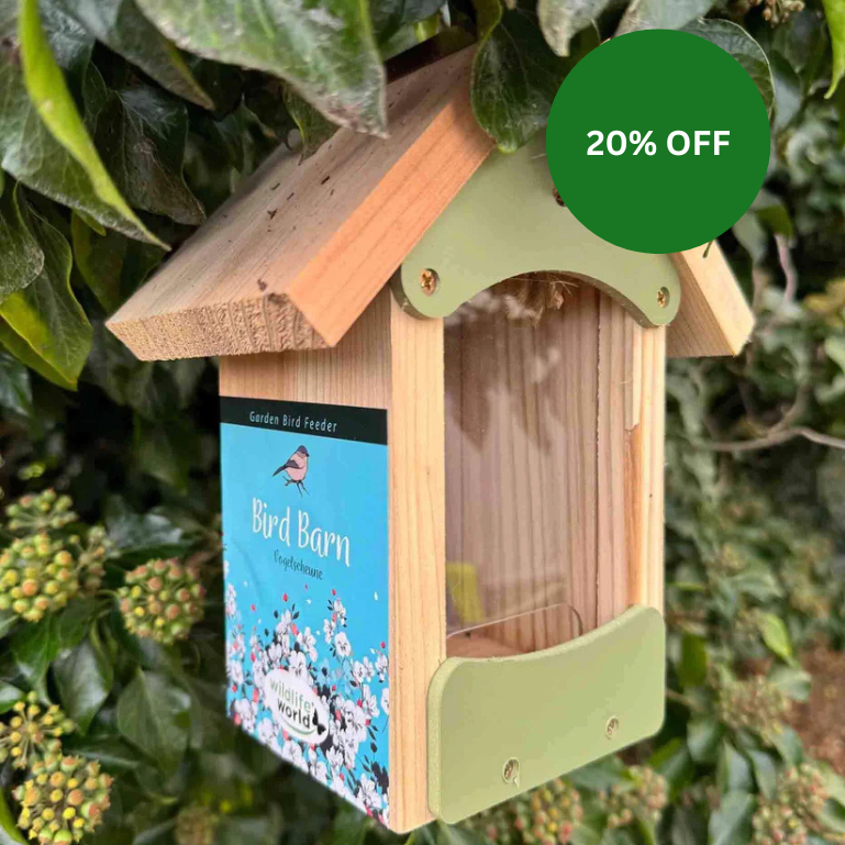 Bird Barn Bird Feeder - Haith's UK