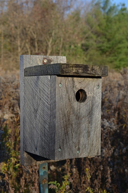 nest box on stake in field