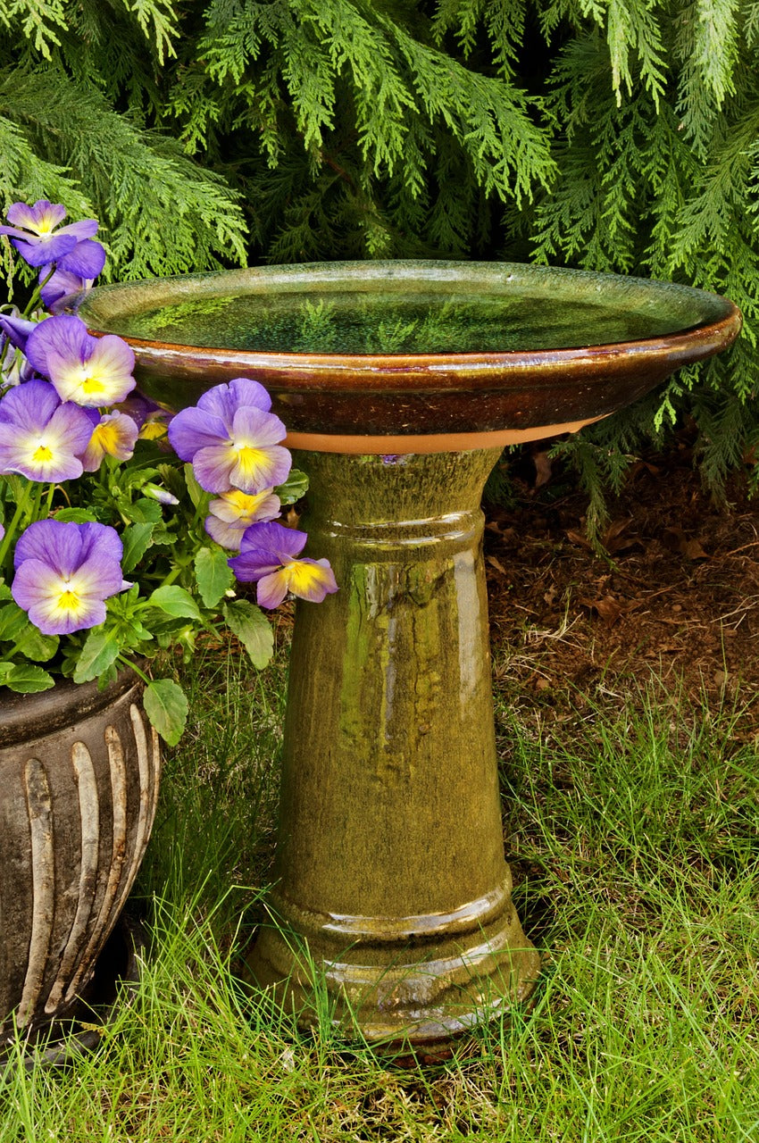 bird bath with purple flower