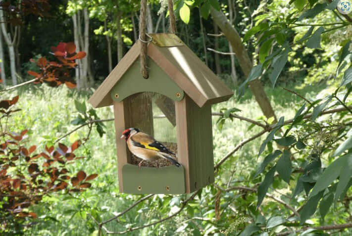 Hanging bird seed feeder made from FSC certified wood suitable for seed mixes and suflowers.