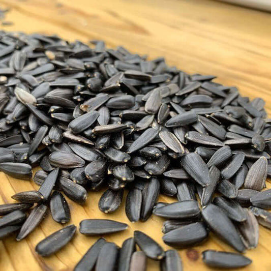 Black Sunflower Seed for Wild Birds  on a desk