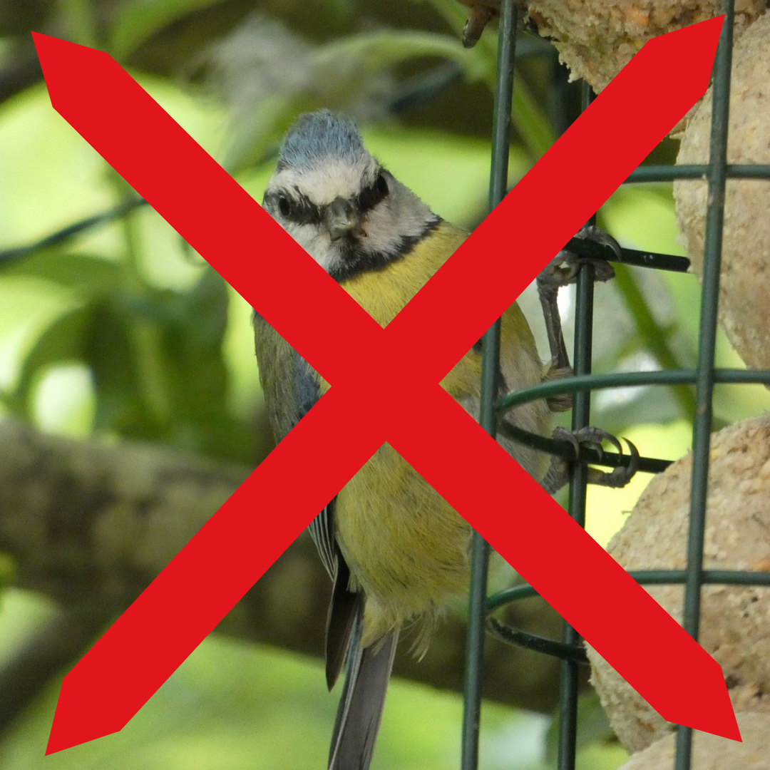 Bird perched on a feeder with a red 'X' overlay