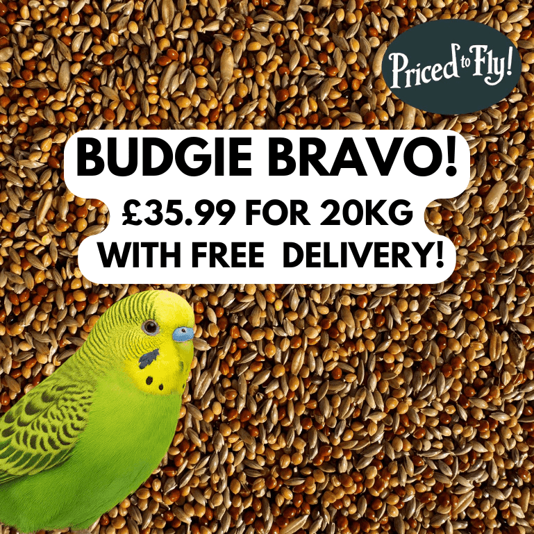 BRAVO! Budgie Seed™ - Haith's UK