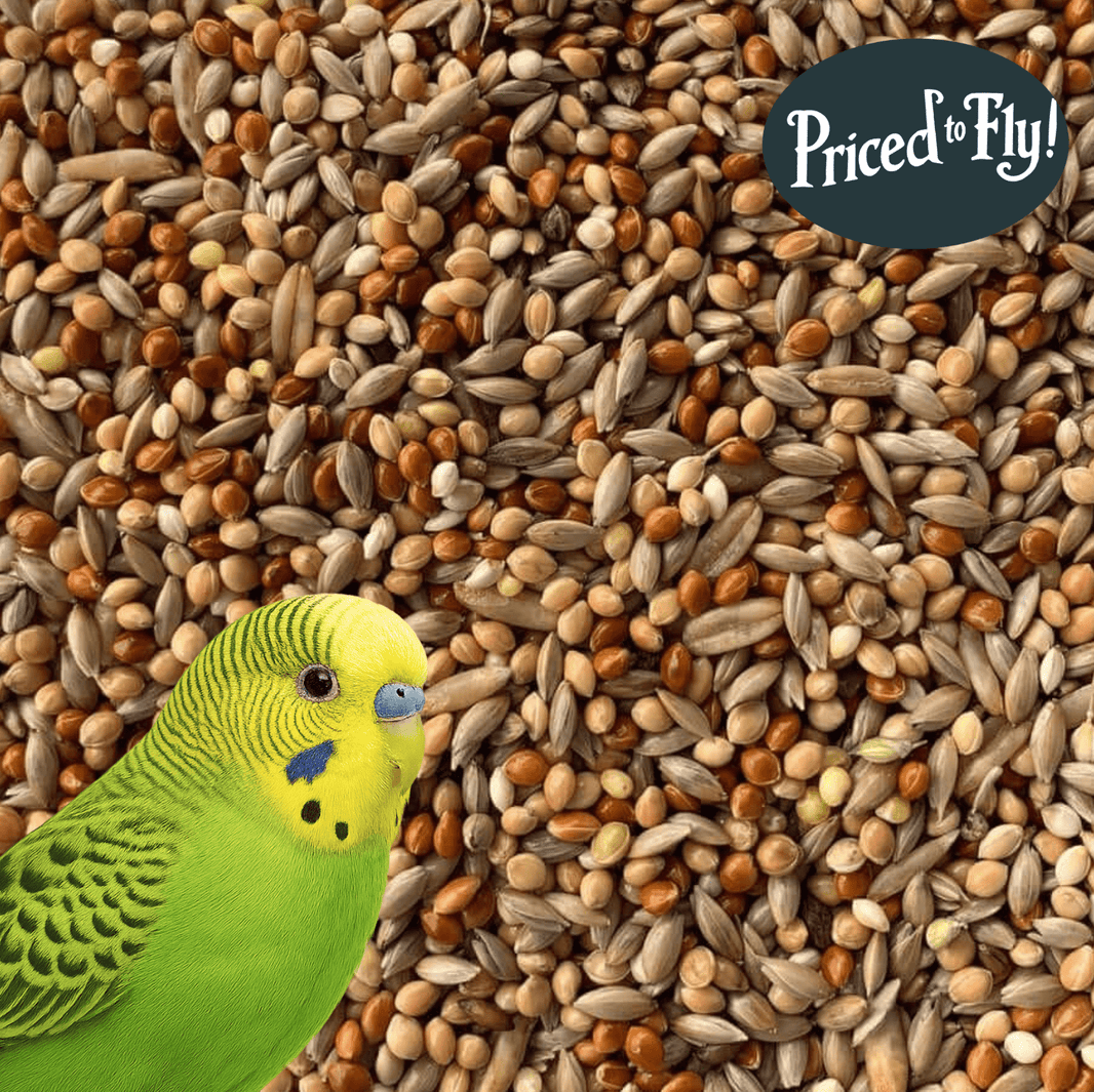 Budgie Seed & Feed | Food for Budgerigars – Haith's UK
