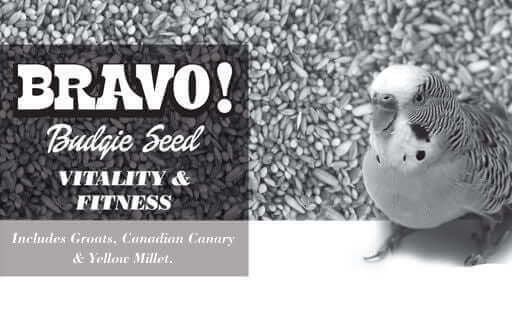 BRAVO! Budgie Seed™ - Haith's