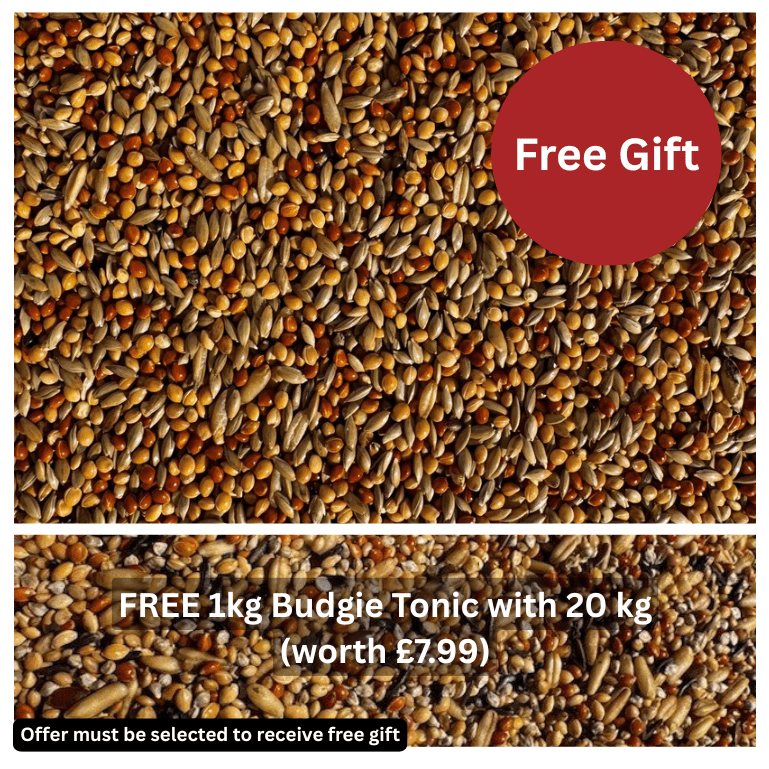 BRAVO! Budgie Seed™ - Haith's UK