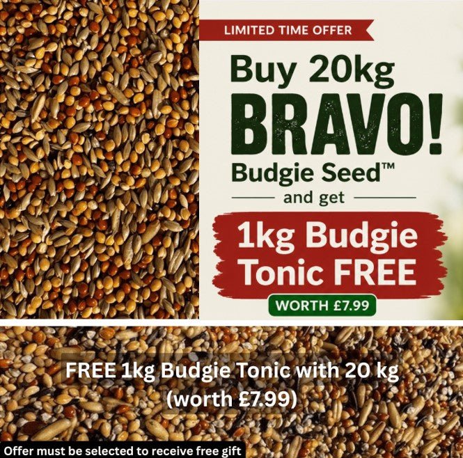 BRAVO! Budgie Seed™