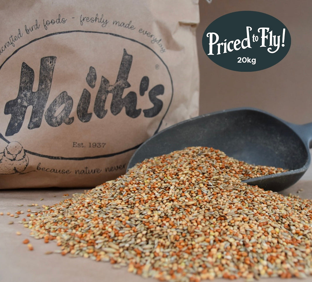 View of Budgie Seed & Feed | Food for Budgerigars – Haith's UK