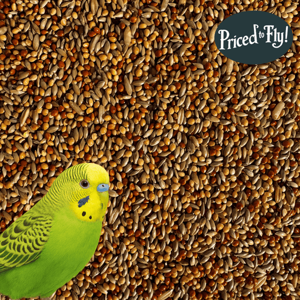 BRAVO! Budgie Seed™ - Haith's UK